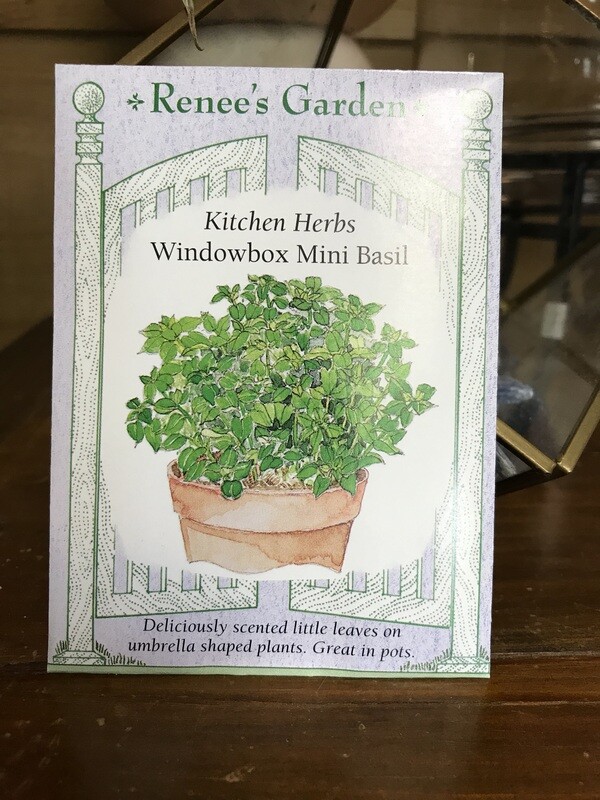 Seeds - Basil Windowbox