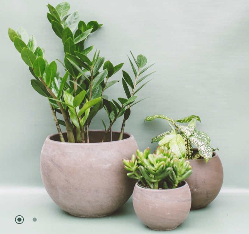 Luna Sphere Pot