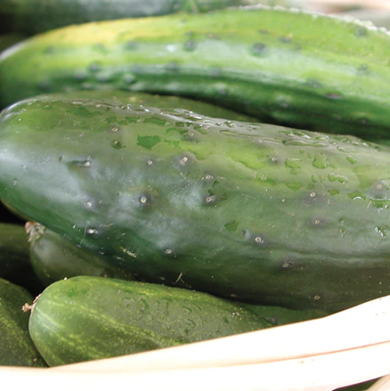 Seeds - Cucumber Homemade Pickle