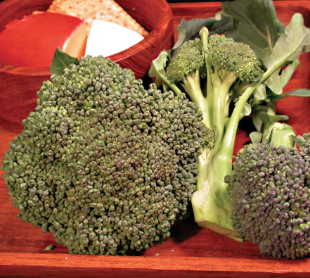 Seeds - Broccoli Umpqua 1/2 gram Organic