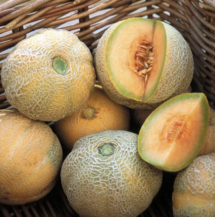 Seeds - Melon Minnesota Midget 1/2 Gram