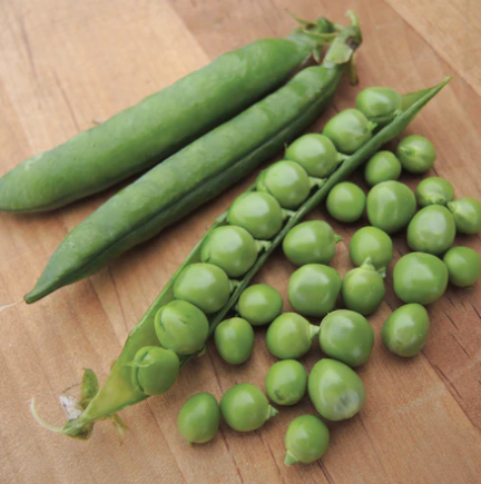 Seeds - Pea Green Arrow 1 Ounce Organic
