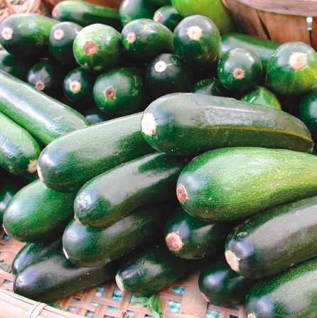 Seeds - Squash Summer Black Beauty 3 Grams