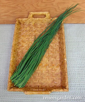 Seeds - Chives Organic