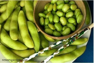 Seeds - Bean Soy Edamame