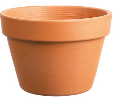 Terracotta Short Pots
