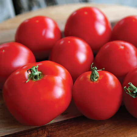 Seeds - Tomato Stupice 1/8 Gram Og