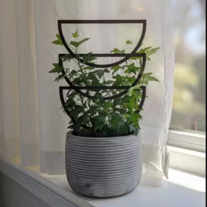 Houseplant Trellis - Trio Sunrise