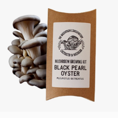Mushroom Growing Kit - Black Pearl Oyster