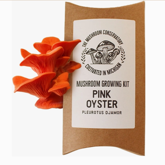 Mushroom Growing Kit - Pink Oyster