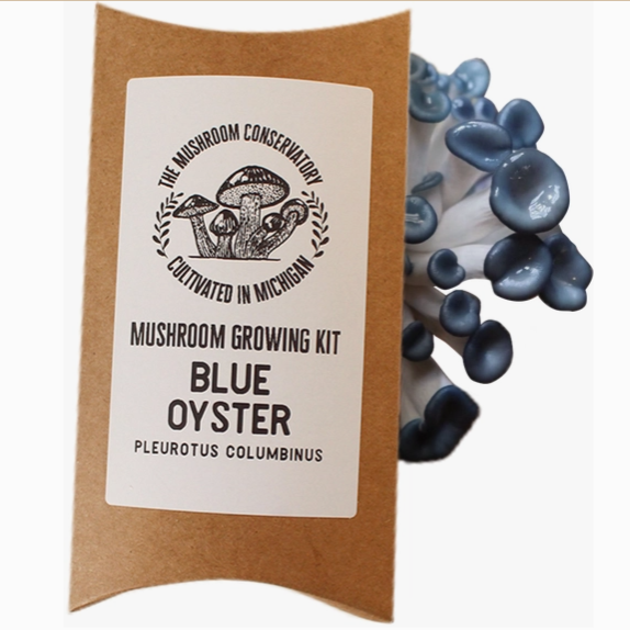 Mushroom Growing Kit - Blue Oyster