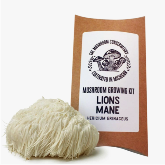 Mushroom Growing Kit - Lion&#39;s Mane