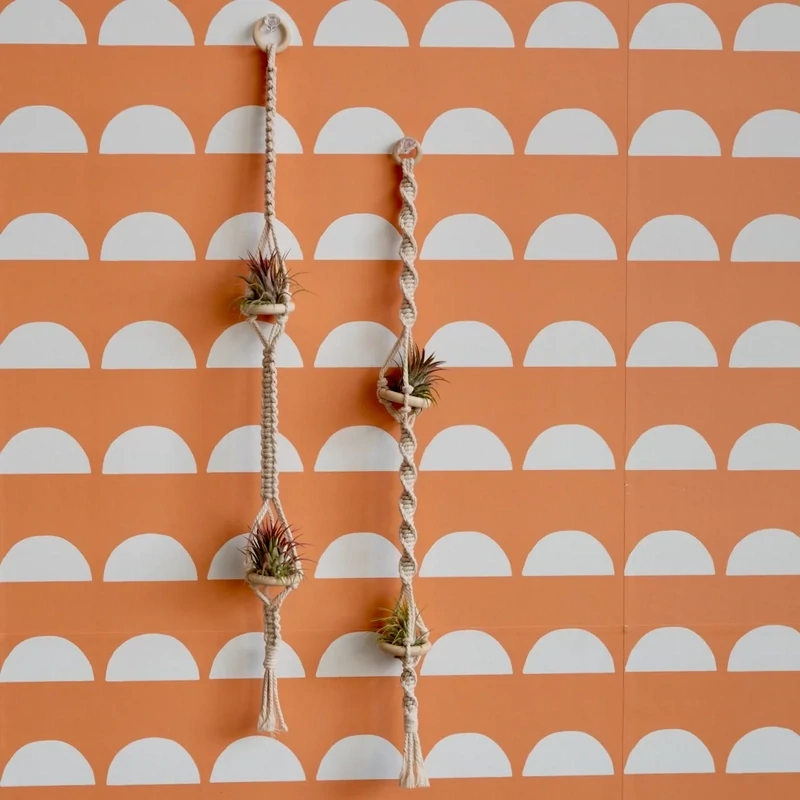 Macrame Plant Hanger DIY Kit