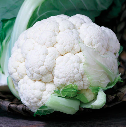 Seeds - Cauliflower Twister 1/8 Gram