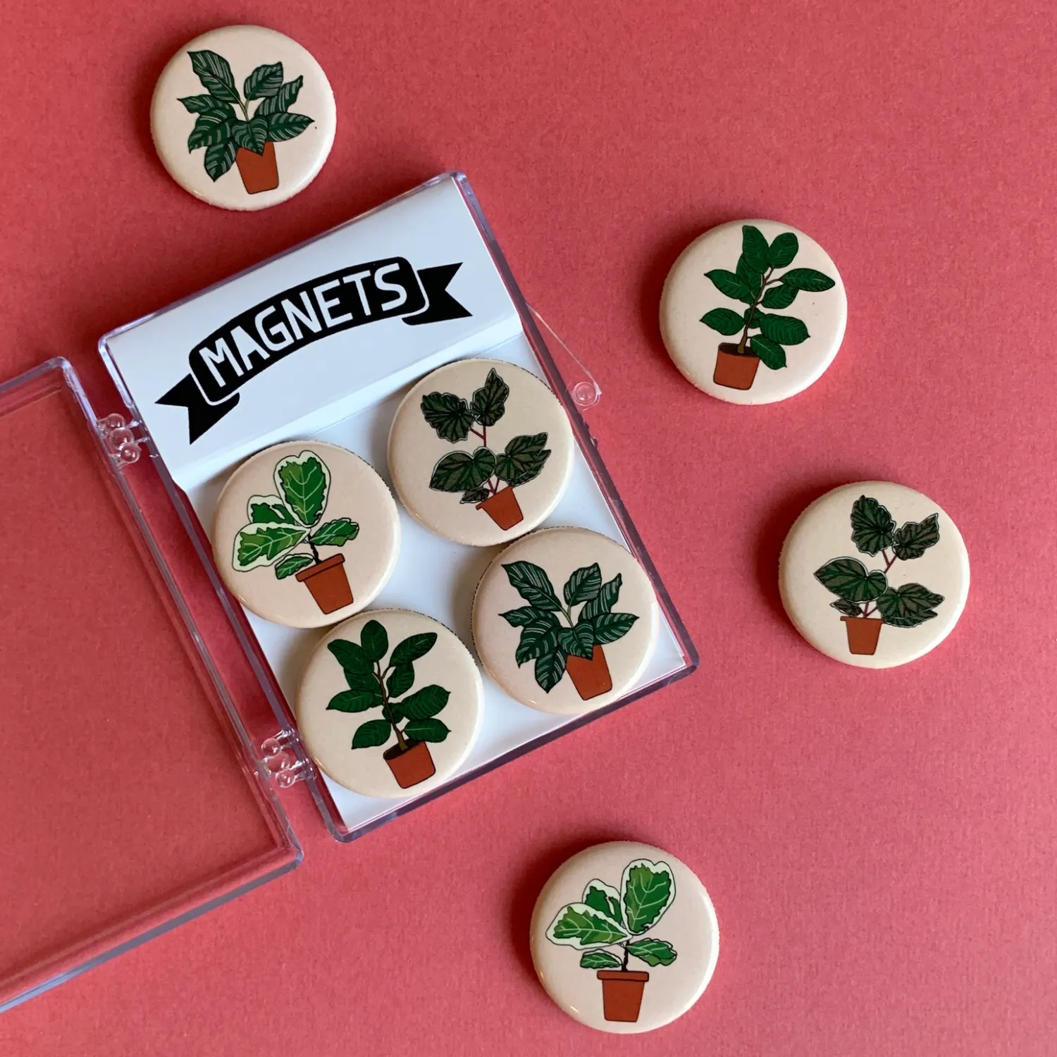 Houseplant Magnet Set