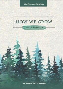 BULK - How We Grow: What is a Disciple?