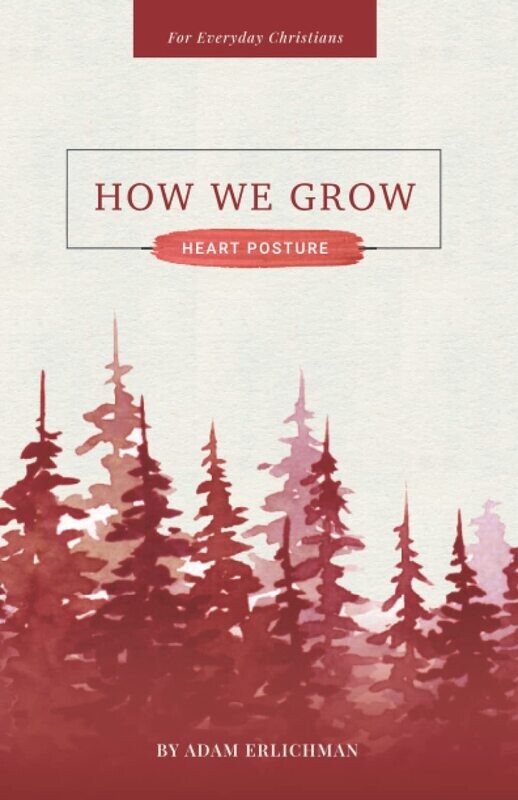 BULK - How We Grow: Heart Posture