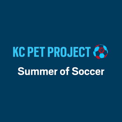 Summer of Soccer