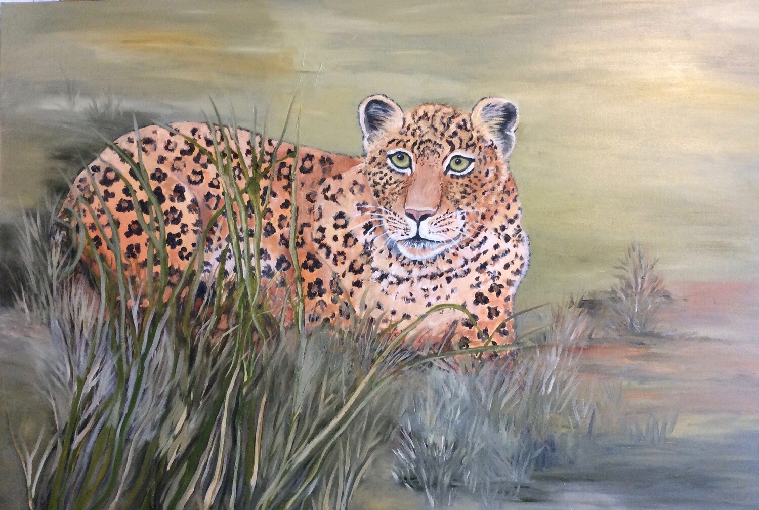 Leopard at Rest