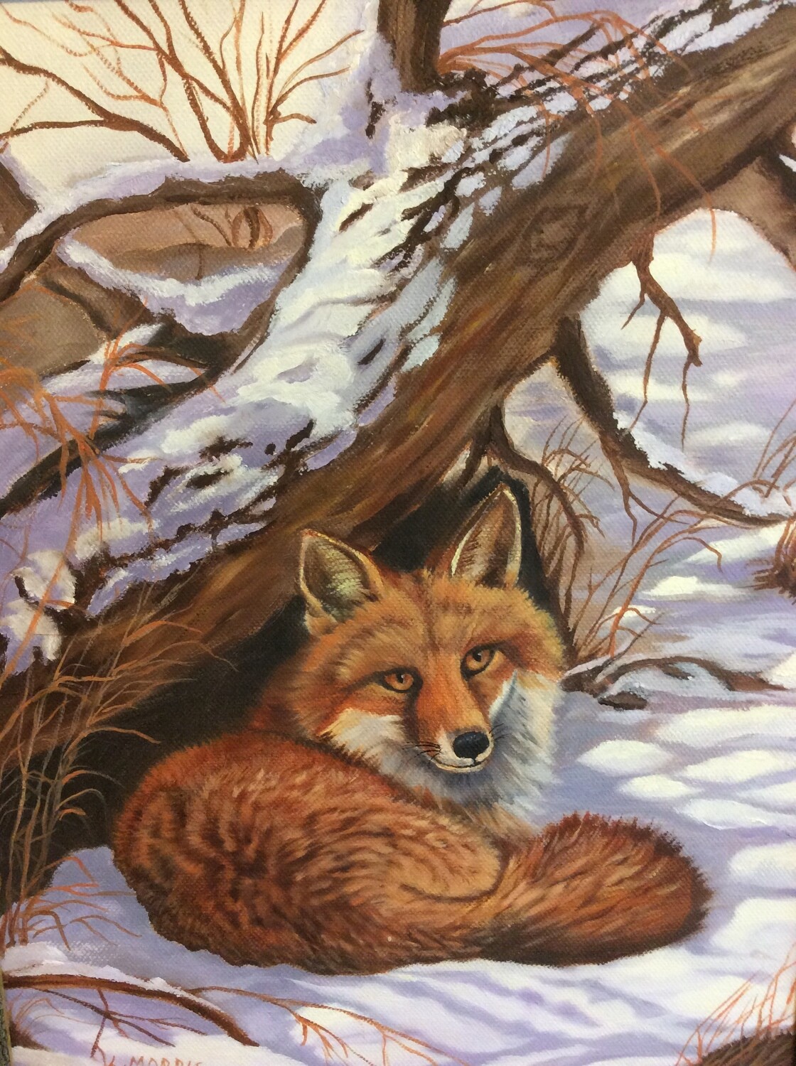 Fox at Rest