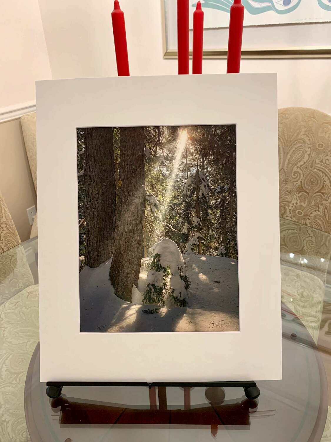 Enchanted Winter Forest
