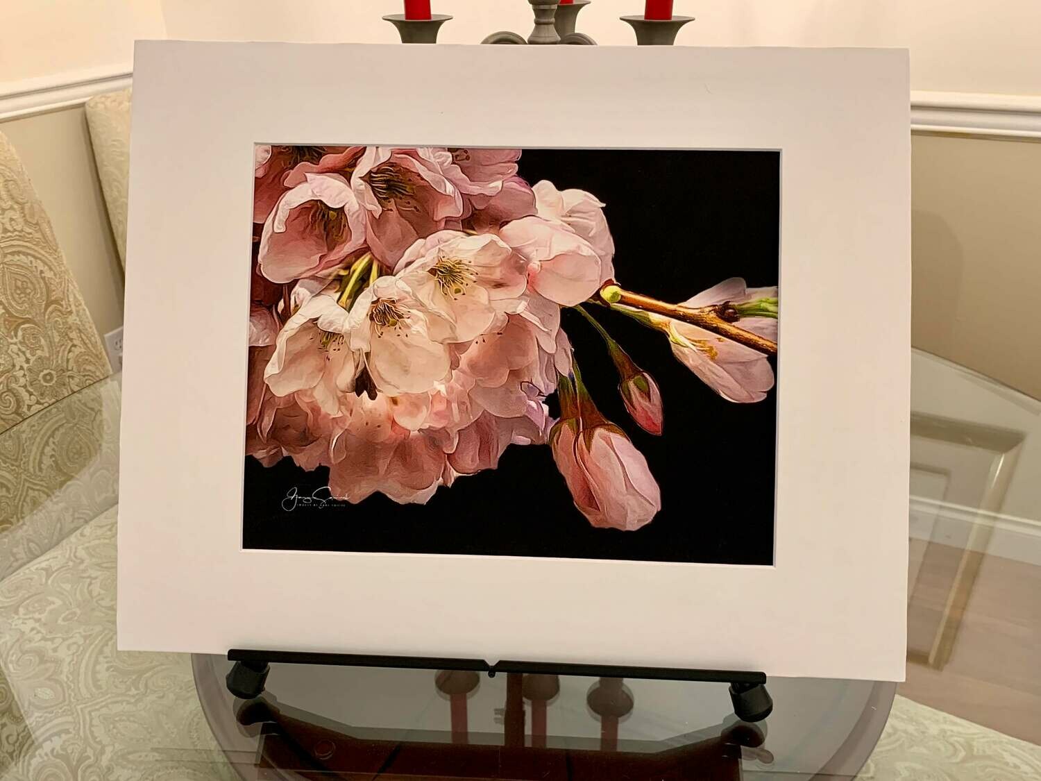Cherry Blossoms