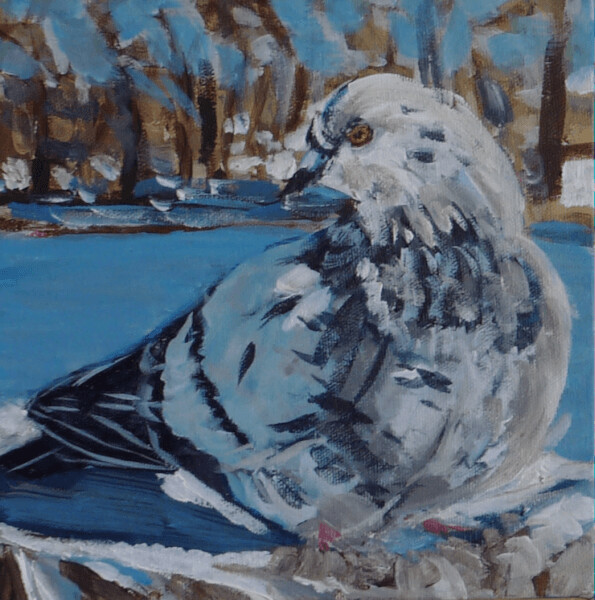 Portrait of a Pigeon 3