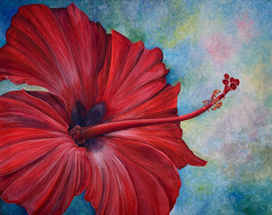 Hibiscus