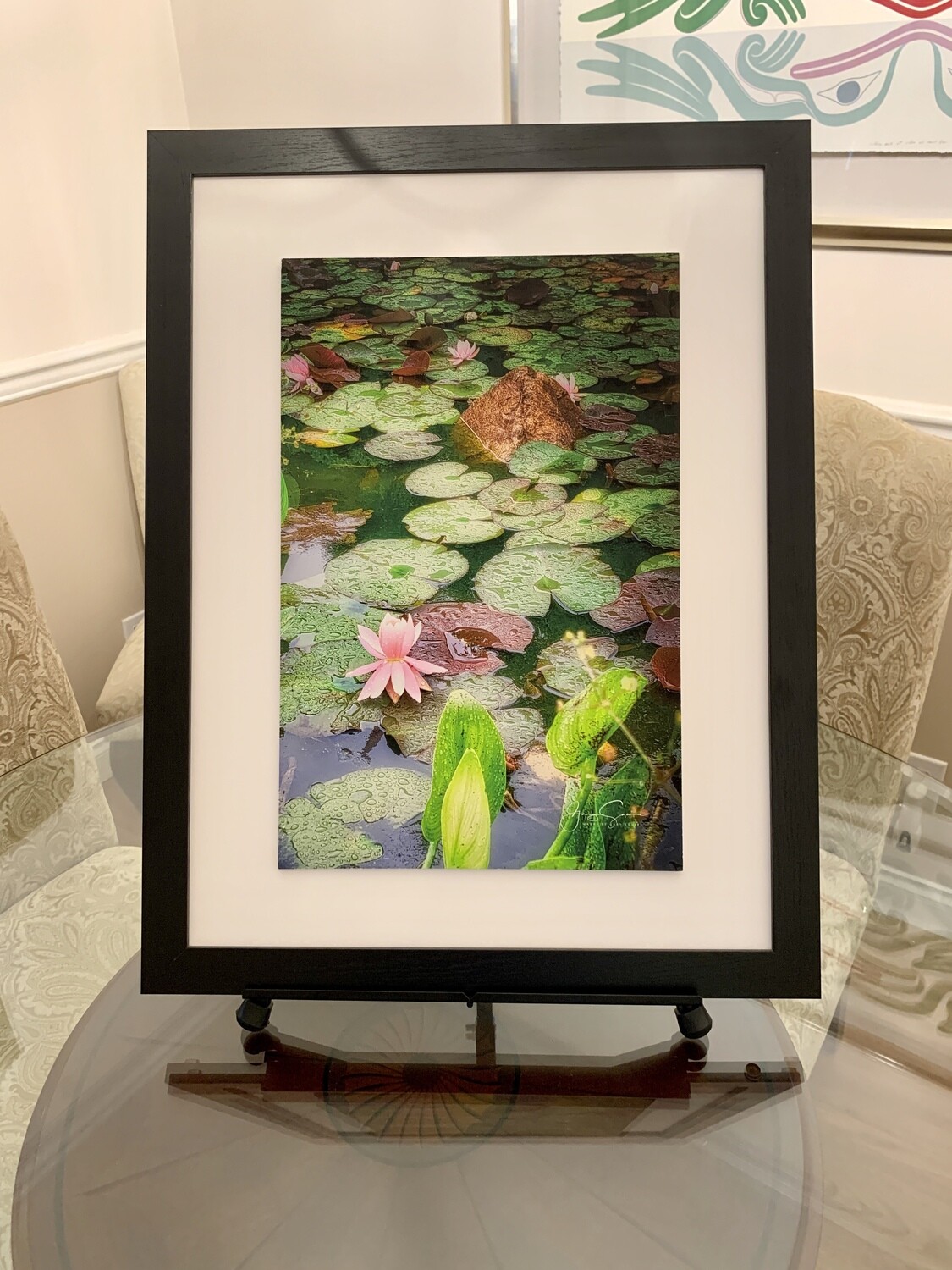 Lily Pond in the Rain