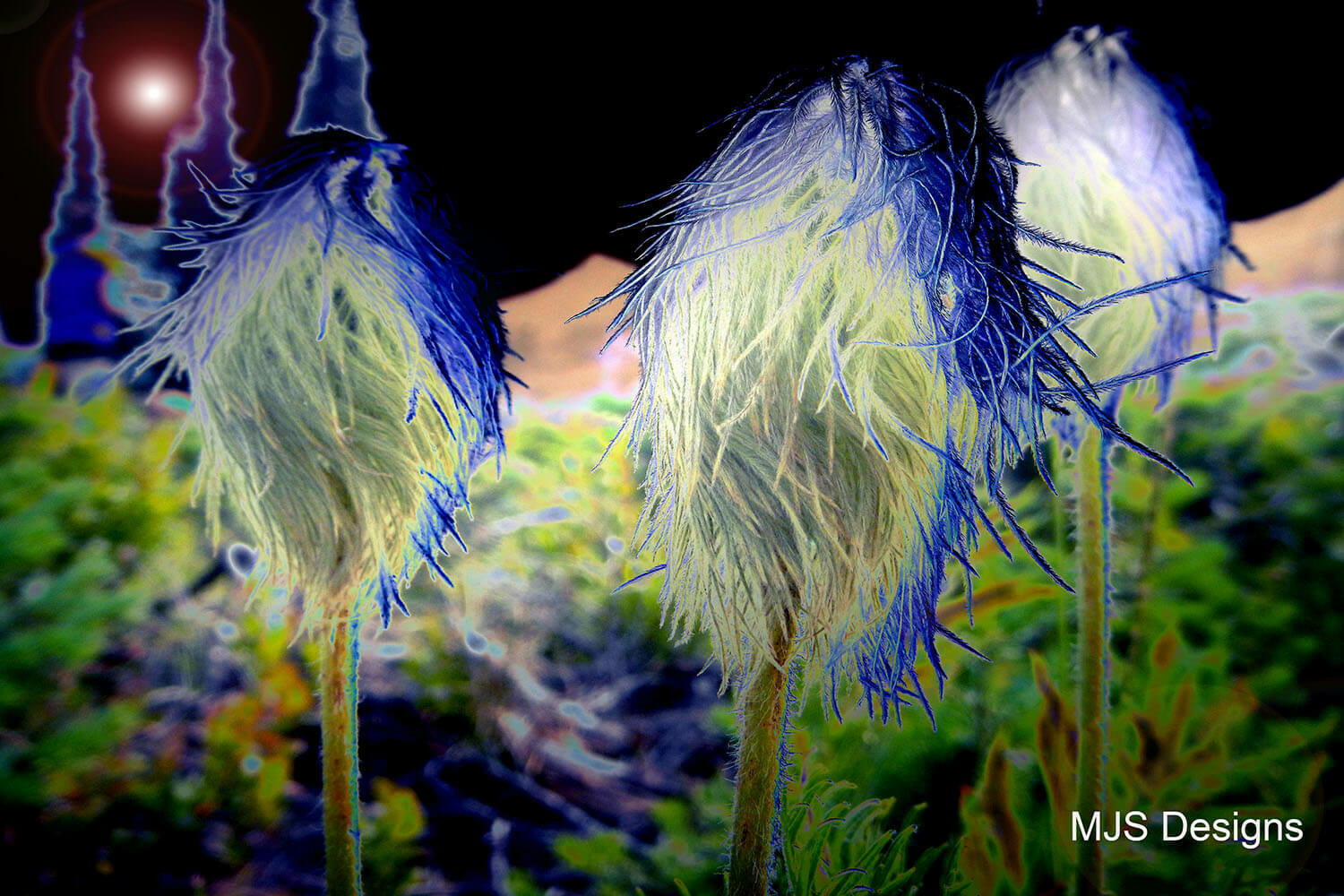 Mountain Flowers
