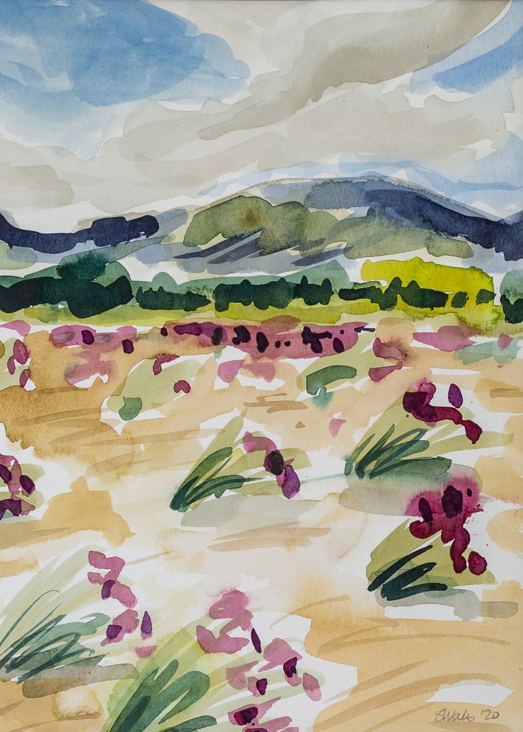 (SOLD)Sweet Vetch in the Kluane, Yukon Territory