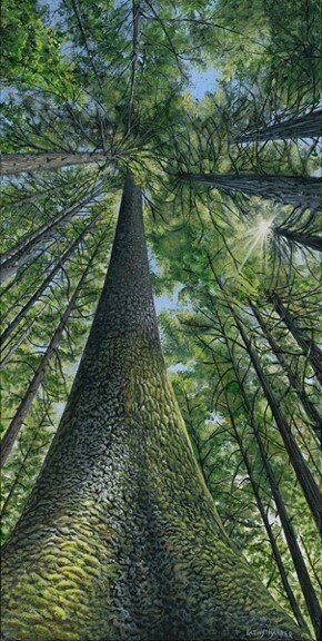 &quot;SPRUCE BAY GIANTS&quot;