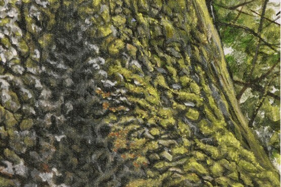 "SPRUCE BAY GIANTS"