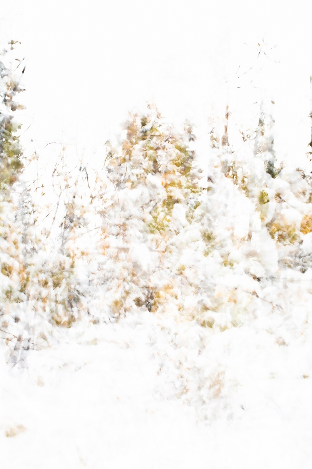 First Snow, Manning Park BC
