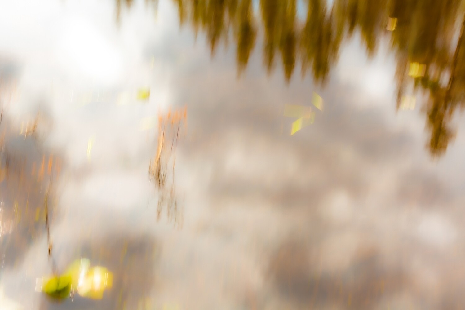 Spring Reflections, Pemberton BC