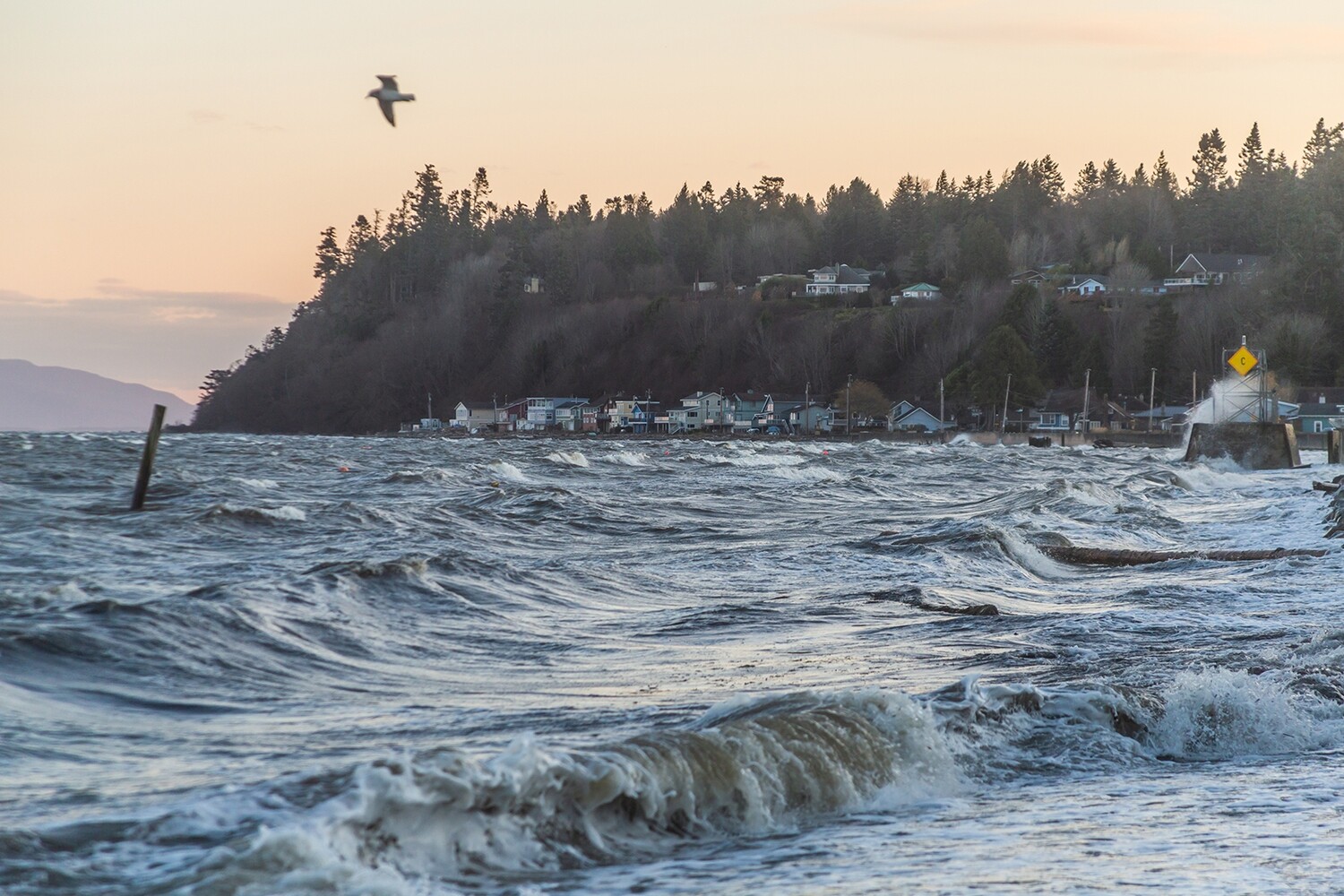 Winter Storm, Boundry Bay BC