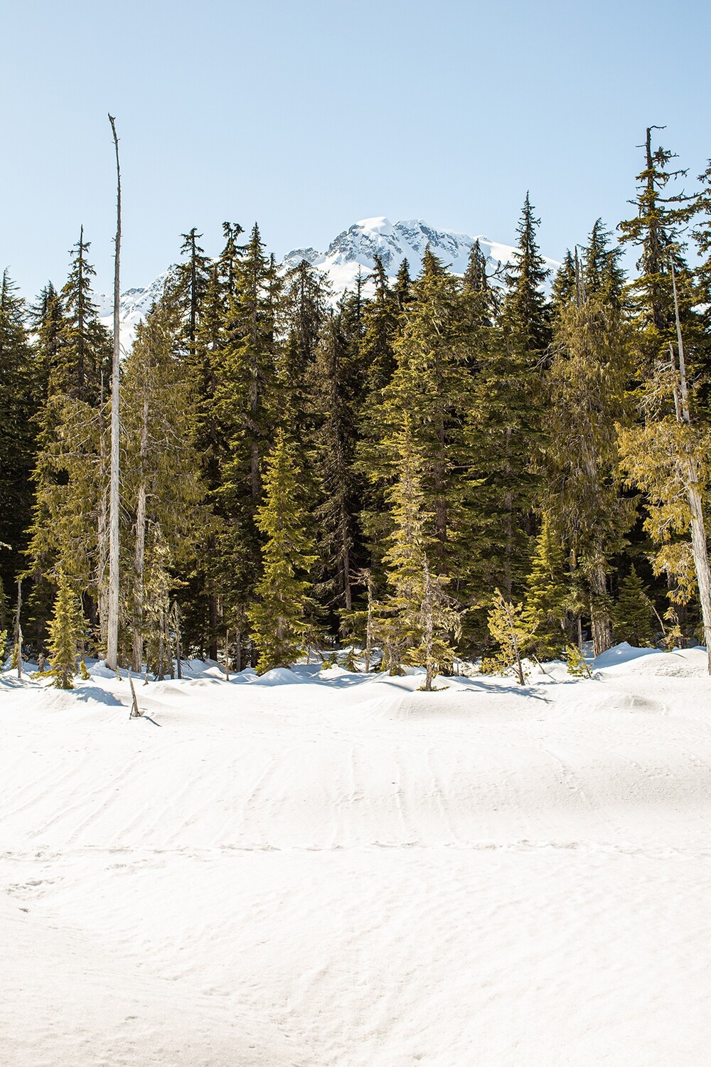 Spring in the Callaghan Valley, BC