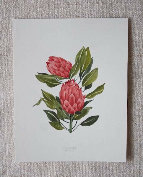 (SOLD)Original Proteas Watercolour Painting