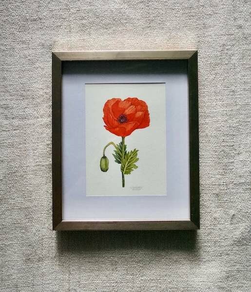 (SOLD)Original Poppy Watercolour Painting