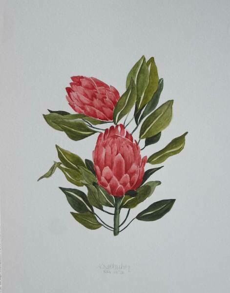 (SOLD)Original Proteas Watercolour Painting