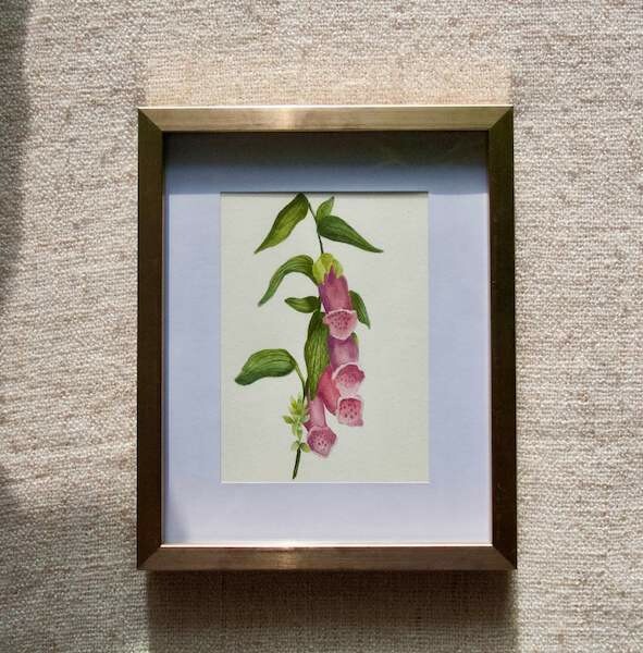 (SOLD)Original Foxgloves Watercolour Painting