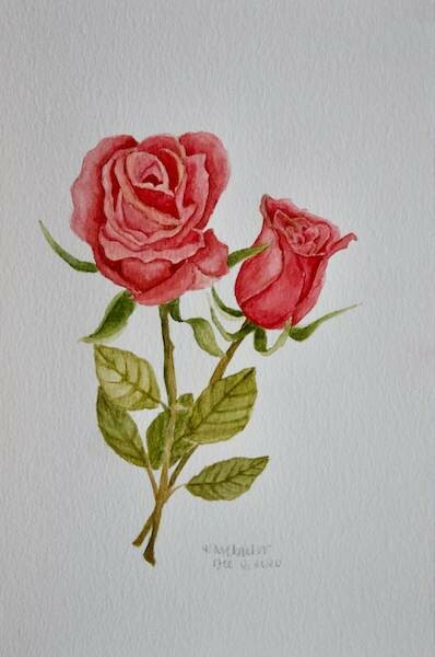 Original Red Roses Watercolour Painting