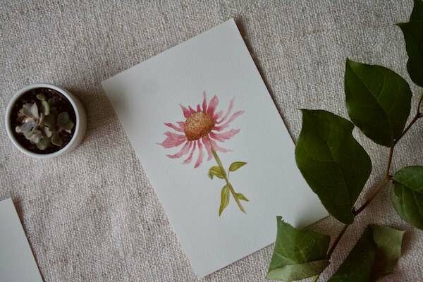 (SOLD)Original Wilted Coneflower Watercolour Painting