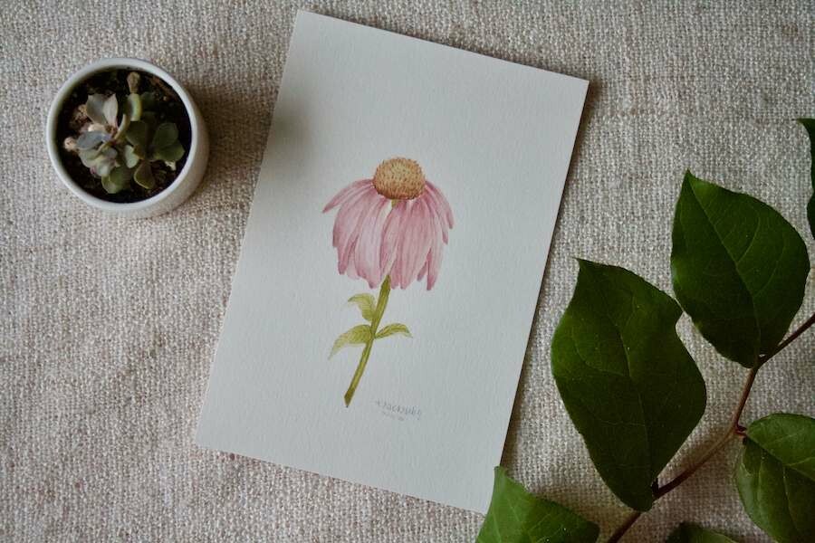 (SOLD)Original Droopy Coneflower Watercolour Painting