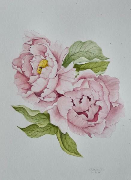 (SOLD)Original Blooming Peonies Watercolour Painting