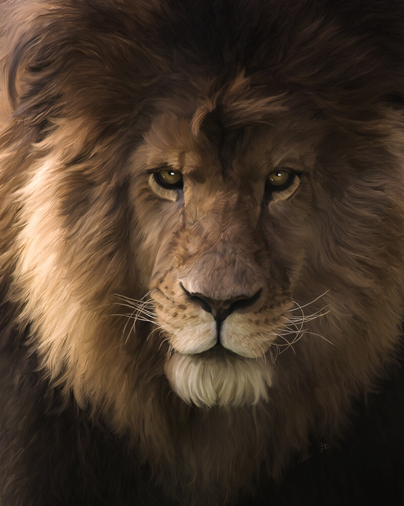 Heart Of A Lion