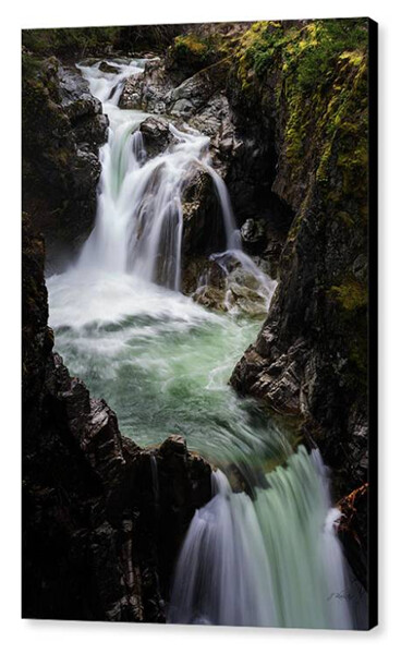 Go With The Flow