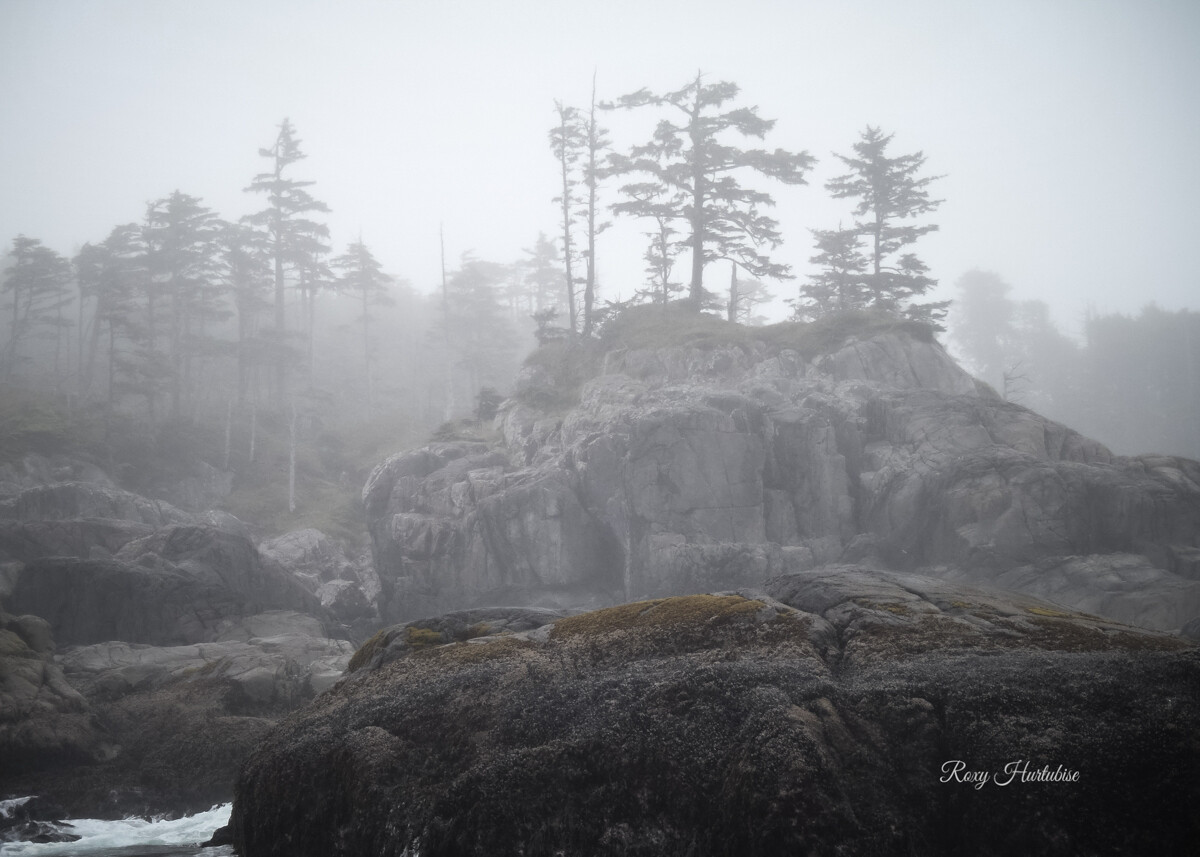 WEST COAST LANDSCAPE