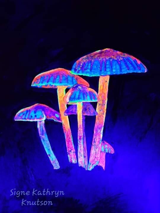 Mushroom Glow - Canvas Print
