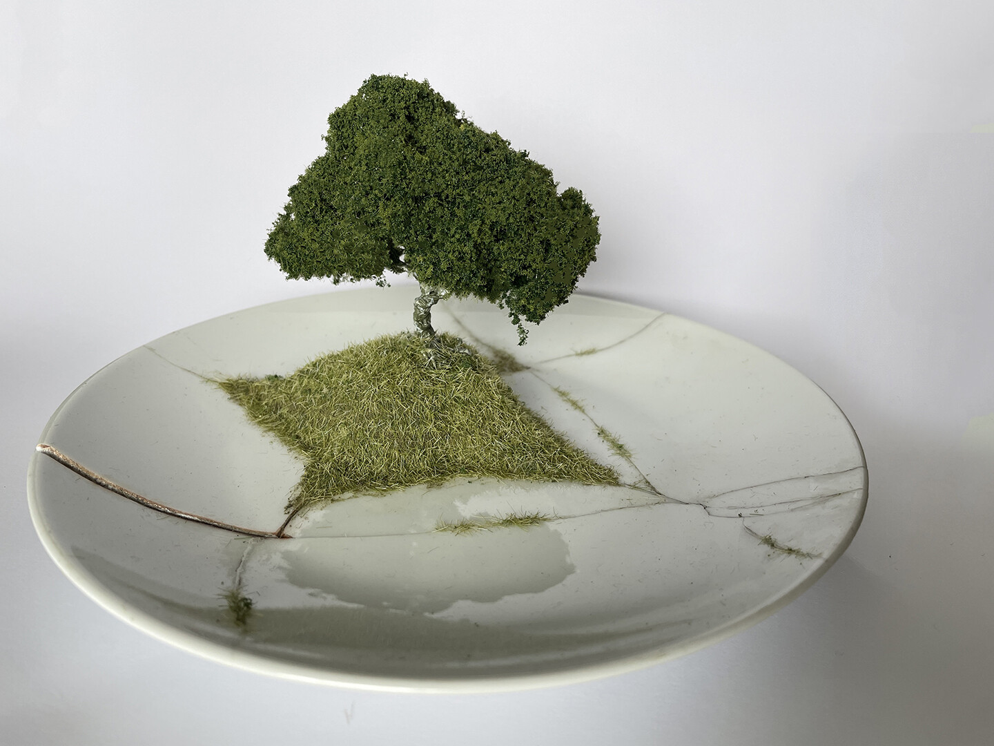 Grass Kintsugi Plate 01 Grass Kintsugi Plate 01